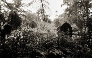 Gräber auf dem Johannisfriedhof